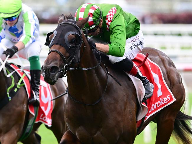 Irish jockey Martin Harley steers the Chris and Corey Munce-trained colt Cool Archie to victory in the $200,000 Listed Dalrello Stakes (1000m) for two-year-olds at Eagle Farm on Saturday, May 3, 2025. Picture: Grant Peters/Trackside Photography