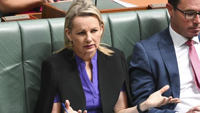 Acting Opposition Leader Sussan Ley has criticised the government for their handling of the Benbrika case. Picture: NCA NewsWire / Martin Ollman