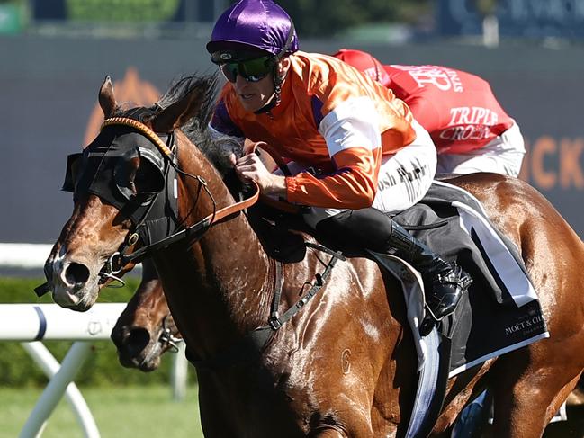 SYDNEY, AUSTRALIA - OCTOBER 26: Josh Parr riding El Castello   wins Race 7 Moet & Chandon Spring Champion Stakes during "Spring Champion Stakes Day" Sydney Racing at Royal Randwick Racecourse on October 26, 2024 in Sydney, Australia. (Photo by Jeremy Ng/Getty Images)