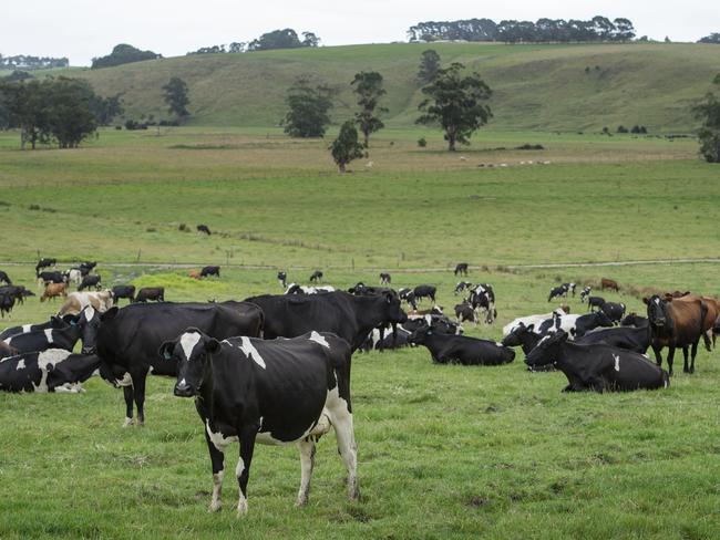 NEWS: FONTERRA CLASS ACTIONDannielle O'Loughlin is one of several Fonterra farmers  to take part in a class action against the milk processor. Pictured: Dannielle O'LoughlinPICTURE: ZOE PHILLIPS