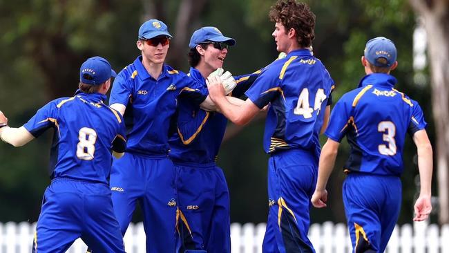 Gators players celebrate a wicket in Sunday's skirmish at Ian Healy Oval. Mens Under-19s club cricket action from Sunday's T20 final played between Sandgate-Redcliffe and South Brisbane. Picture: Queensland Premier Cricket.