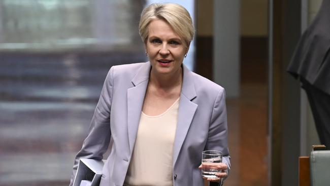 Environment Minister Tanya Plibersek on Tuesday. Picture: NewsWire / Martin Ollman