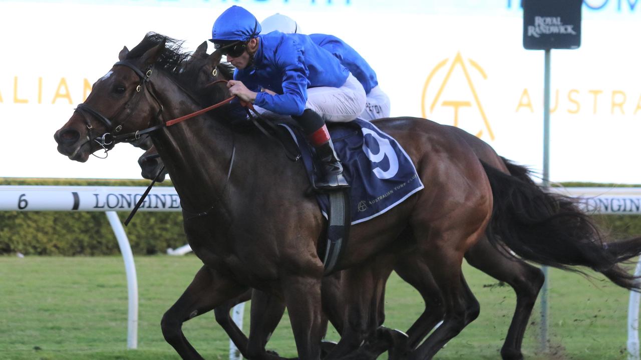 Brigantine is a consistent performer and will be hard to beat in the Razor Sharp Stakes at Randwick. Picture: Grant Guy