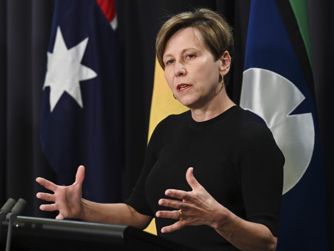 Minister for Emergency Management, Jenny McAllister, is under fire over natural disaster infrastructure funding. Picture: NewsWire / Martin Ollman