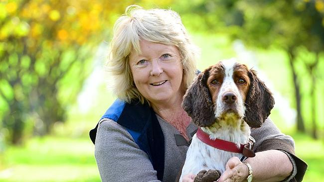 Jenny McAuley of Red Hill Truffles with her English springer spaniel, Thomas. Picture: Zoe Phillips.