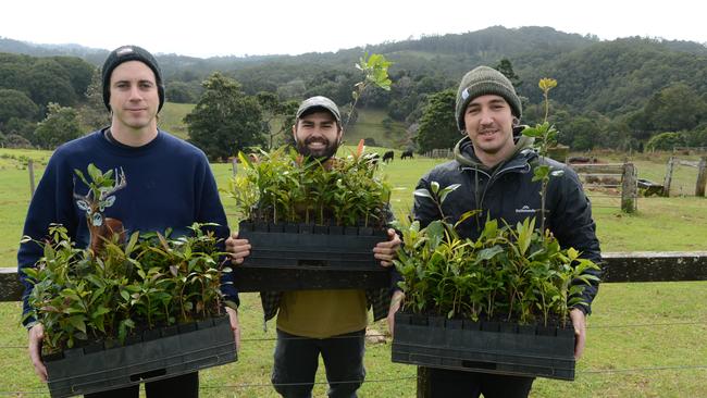 Jake Taylor, Kyle Erich and Eavan Dall of In Hearts Wake at Cromwell Farms in Goonengerry. The band will host a tree planting at the property on Saturday, August 8 to mark the release of their fifth studio album, Kaliyuga.