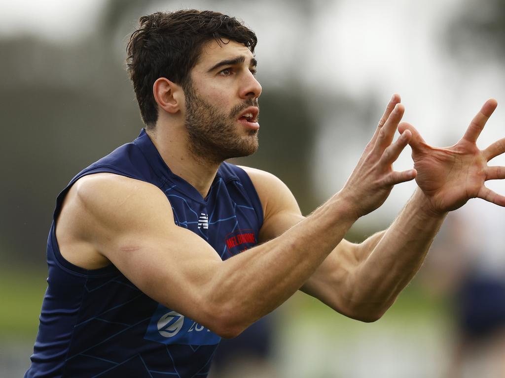 Christian Petracca’s support was much appreciated by Cam Rayner. Picture: Daniel Pockett/Getty Images