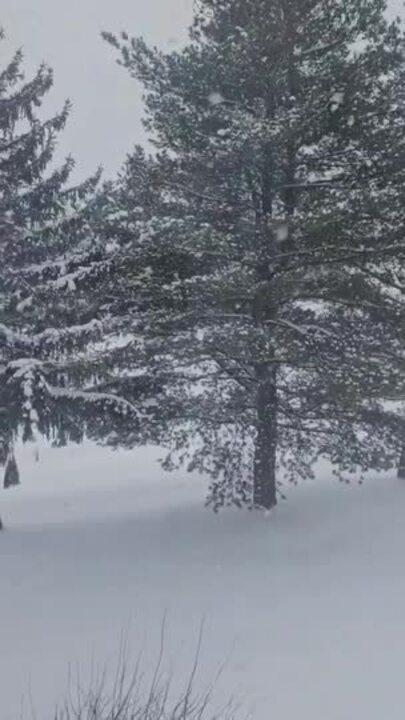 Lake-Effect Snow Blankets Northeastern Ohio