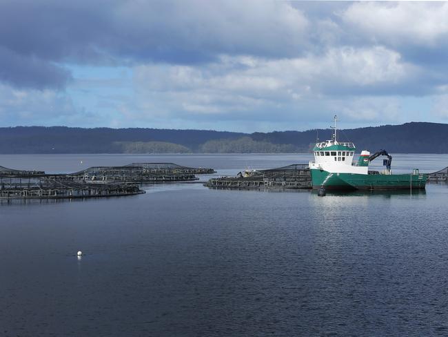 Tassal salmon pens, in Macquarie Harbour, Strahan, West Coast of TasmaniaPicture: MATHEW FARRELLfish / pen / salmon / farm / fish farm / net / cage / aquaculture