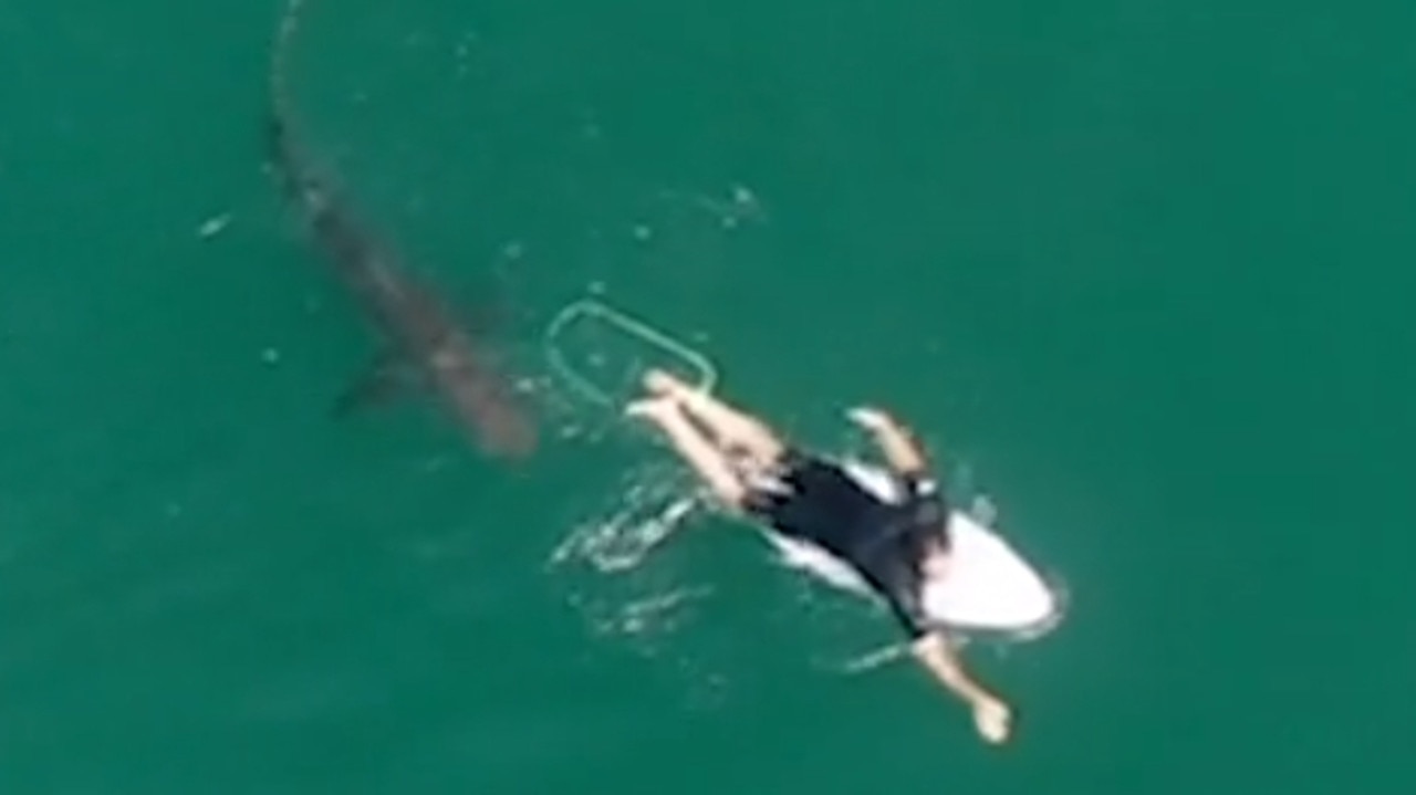 Professional surfer Matt Wilkinson was alerted by a drone of a dark figure lurking beneath him. Picture: Supplied