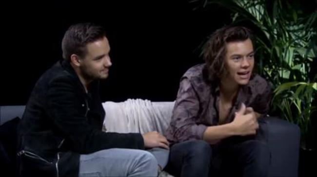 One Direction's Harry Styles hints at sexuality