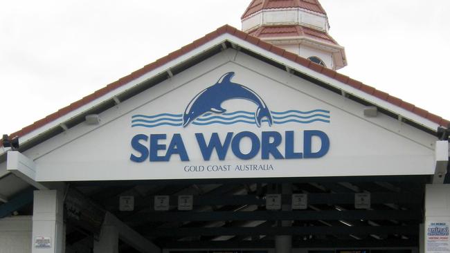 A rifle used to shoot a man outside a Logan gym in 2021 was located just over a week later at Sea World, a court has heard.