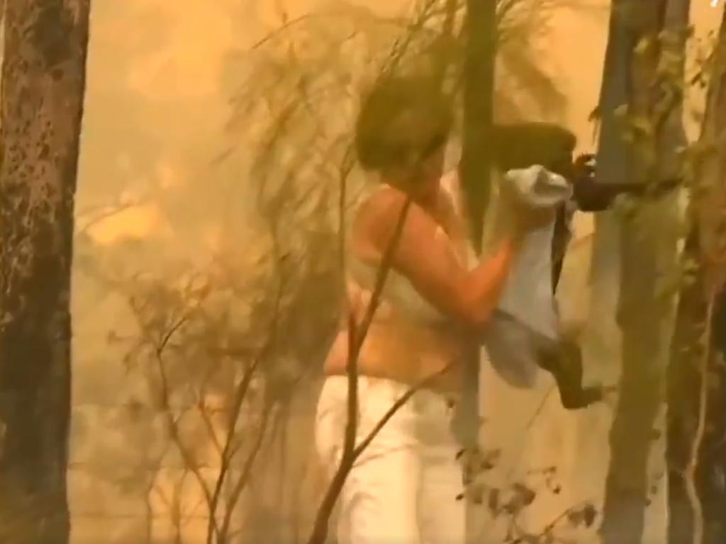 Toni Doherty rescued Lewis from the bushfires.