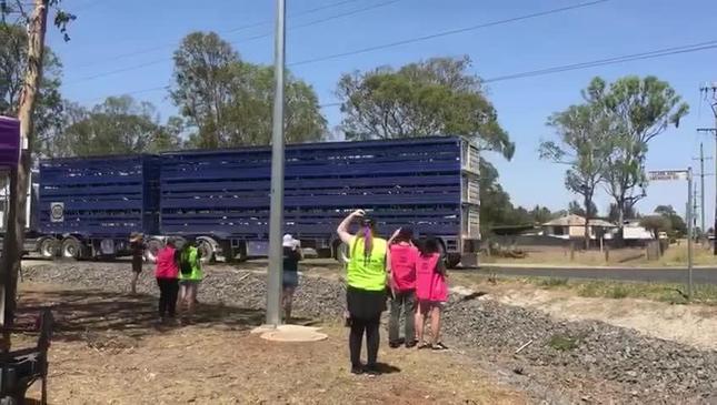 Vegan activists protest at Kingaroy Swickers