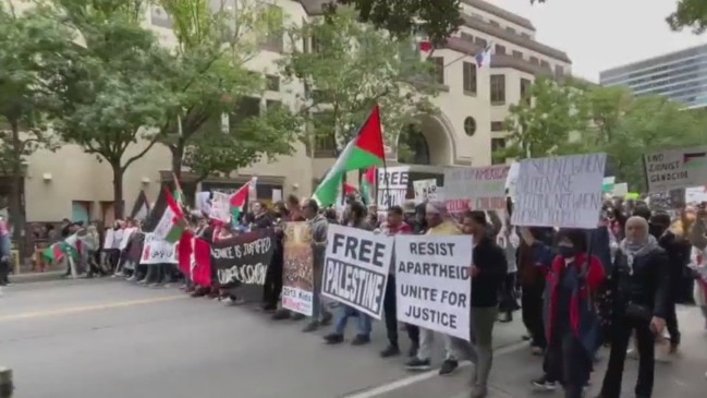 Hundreds march to support Palestine