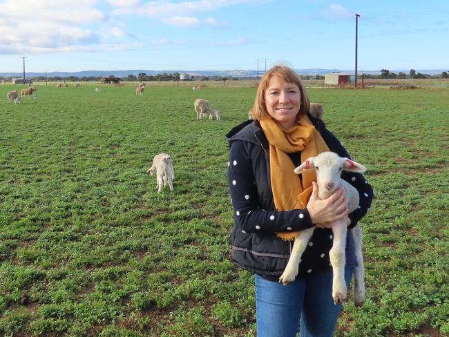 Kate McLachlan is marketing lead for Newbold Studs, her family sheep and grain farm at Gawler River. Picture: supplied