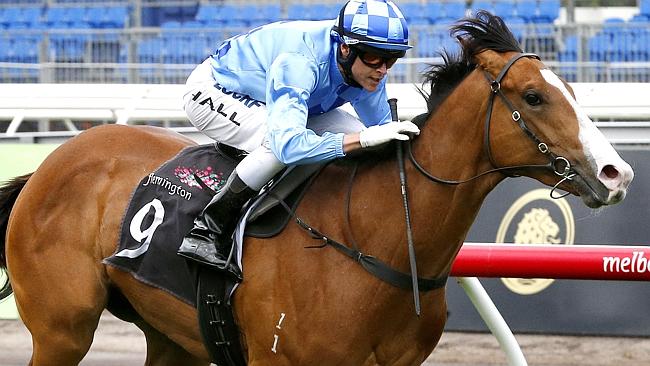 Risen from Doubt has the chance to stamp himself as a top-grade juvenile in the Silver Slipper. Picture: Wayne Ludbey