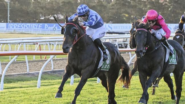 Cool Jakey will be tested at 1600m for the first time. Picture: Bradley Photos