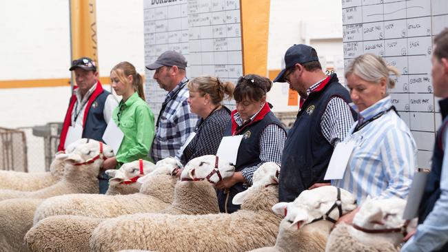 Judgingat the Royal Adelaide Show. Picture: Brett Hartwig