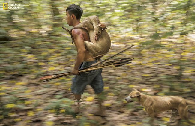 The Awá still hunt with bows and arrows. Picture: Charlie Hamilton James/National Geographic