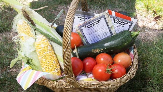 Some of Kylie Swain’s produce and seed packs. Picture: George Salpigtidis