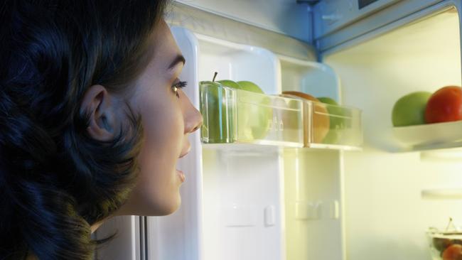 fridge with food