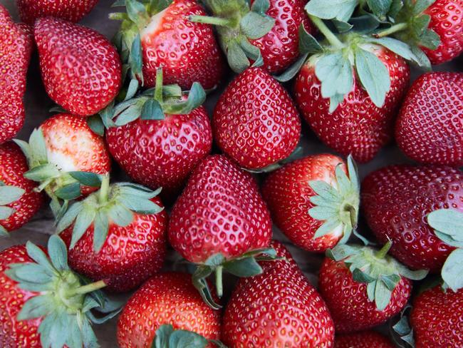 Parents are being encouraged to chop up all fruits, especially strawberries, before packing school lunches. Picture: Erik Anderson