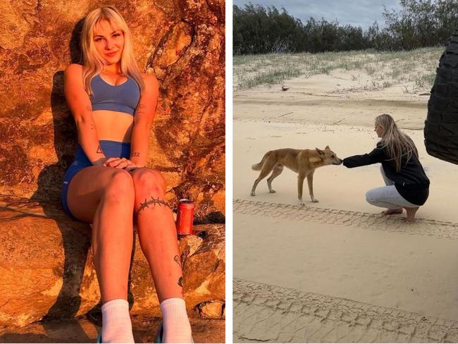 Gold Coast Influencer’s dingo picture slammed