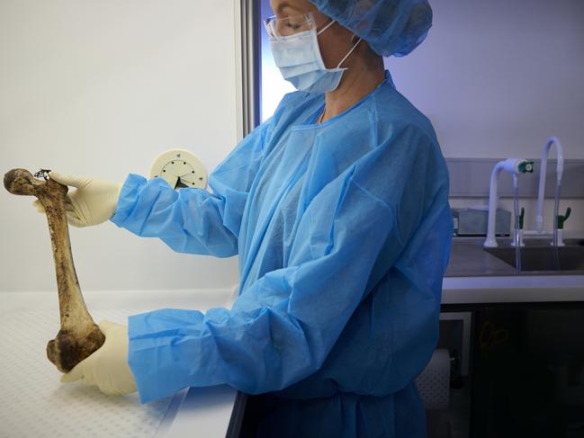 Forensic experts handling bones during the DNA phenotyping process. Picture: NSW Health