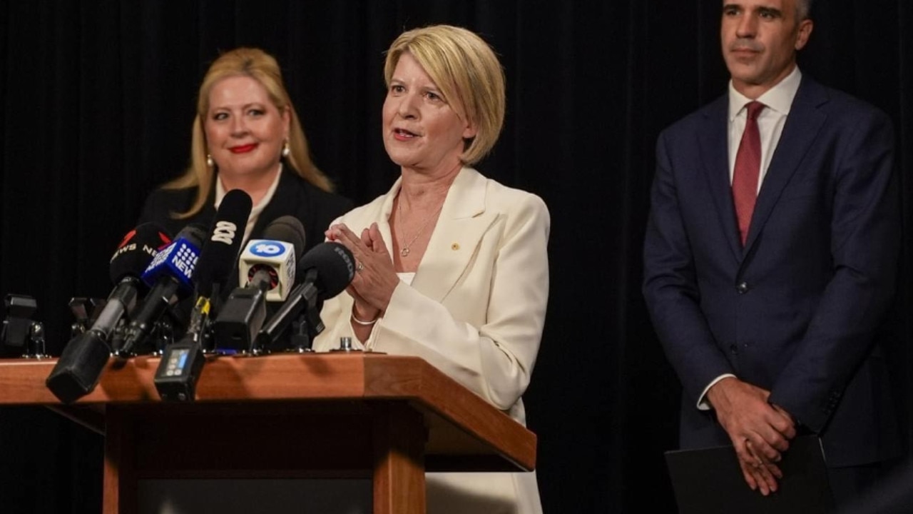 Natasha Stott Despoja is leading the South Australian Royal Commission into Domestic, Family and Sexual Violence. Picture: State government