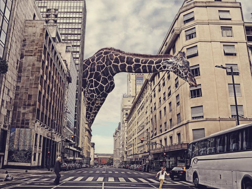 © José María Perez, Argentina, Entry, Open, Enhanced, 2016 Sony World Photography Awards Digital Manipulation. “A giant giraffe crossing Corrientes Avenue in Buenos Aires.”