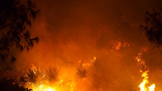 Fire on Fraser Island. Bushfire has been burning across the island – Photo supplied Cathedrals on Fraser