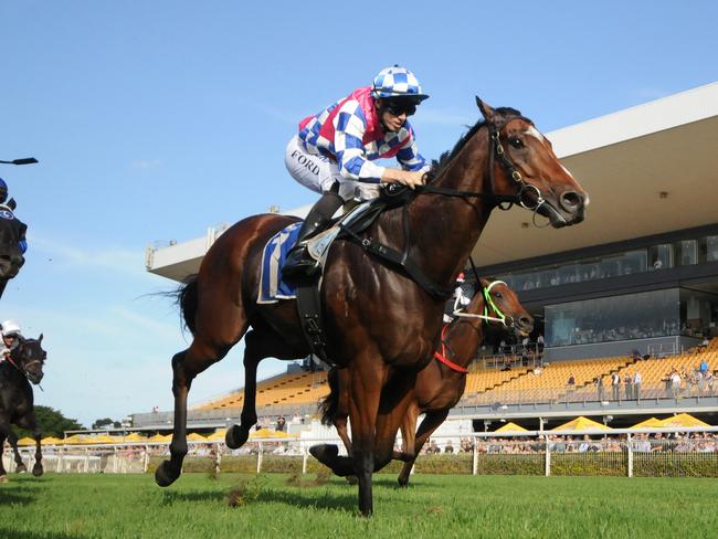 Fell Swoop is expected to progress to 1350m for the Doomben 10,000 and possibly 1400m of the Stradbroke over the next six weeks. Picture: Grant Peters, Trackside Photography