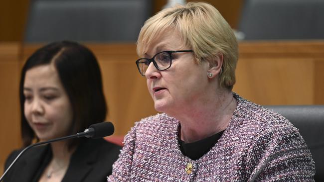 Senator Linda Reynolds claims five social media posts, allegedly authored by Mr Sharaz, defamed her character. Picture: NCA NewsWire / Martin Ollman