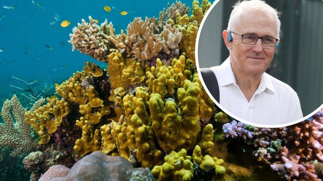 Turnbull’s savvy Great Barrier Reef investment