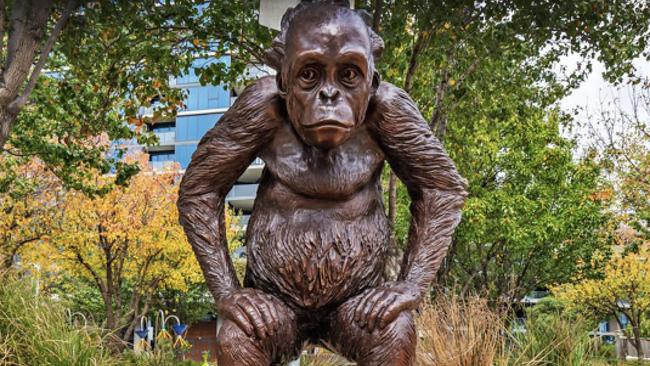 Vandals have dumped a $30,000 bronze sculpture of an orangutan into the water at Docklands. Picture: Supplied