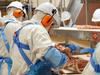 ‘Major blow’: Crisis talks after SA abattoir set to axe hundreds of jobs