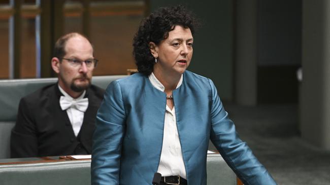 Teal MP Monique Ryan during question time on Thursday. Picture: NCA NewsWire / Martin Ollman