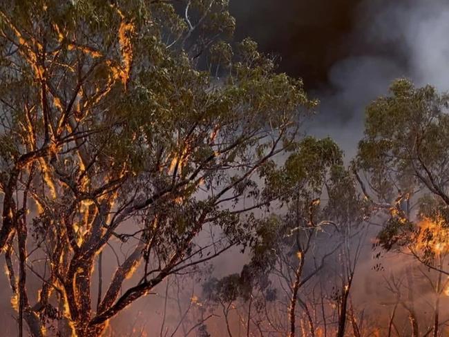 An image released on the 2nd of February, 2025 showing a bushfire burning in the Grampians region in Victoria on Saturday.  Strike Team 2090 spent the day in the Grampians assisting with back burning and monitoring tree crowning and spot overs. Picture: Facebook / Kerang Fire Brigade