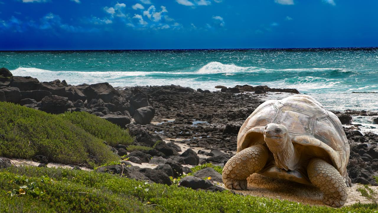There are concerns for the future of the Galápagos Islands.