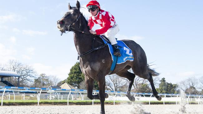 Palaggio will attempt to take her synthetic track form to a turf course at Flemington on Saturday. Picture: Racing Photos via Getty Images
