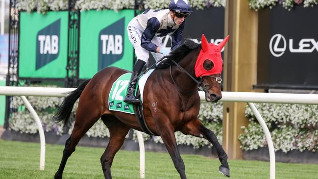 Duke De Sessa will be better suited under weight-for-age conditions in the $750,000 Zipping Classic at Caulfield. Picture: Racing Photos via Getty Images.