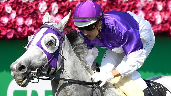 The Candy Man bounced back to winning form at Eagle Farm. Picture: AAP