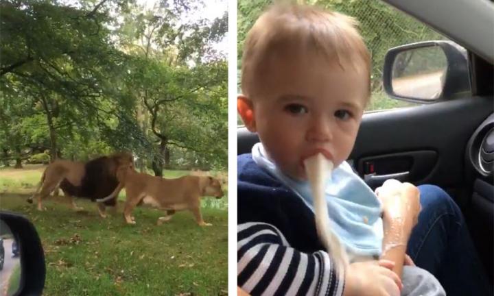 Video captures baby vomiting all over the car Kidspot