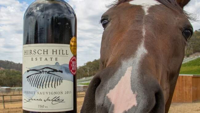 The Hirsch family is into wine and horses as well as petrol and property.