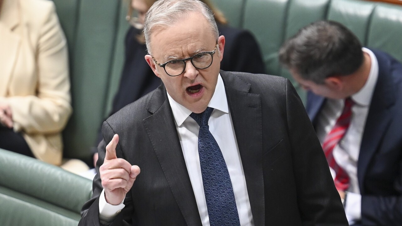 Anthony Albanese ‘dragged kicking and screaming’ into announcing new social media laws