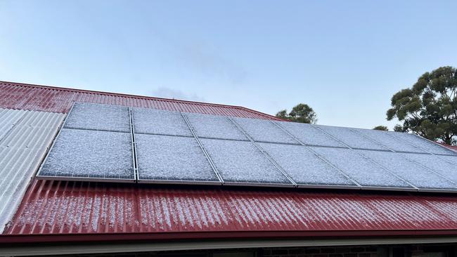 Tassie Snow Day: Show set thick at Strickland Ave between South Hobart and Fern Tree.