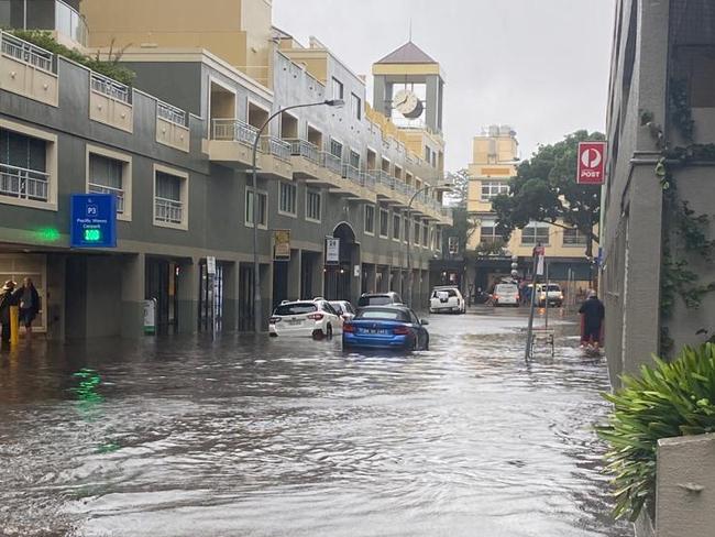 Central Avenue in Manly. Picture: Supplied, Steve Thomas