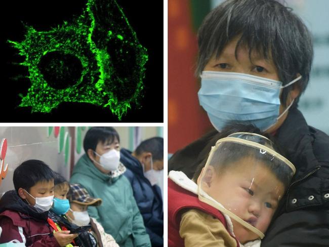 A worrying new respiratory virus is reportedly overwhelming hospitals in China. But some experts say there’s an even bigger problem staring at us down the barrel.