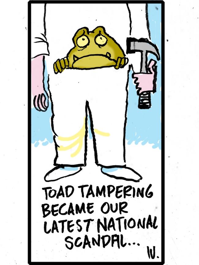 Cartoonist Warren Brown’s take on the cane toad ‘kill’ orders.